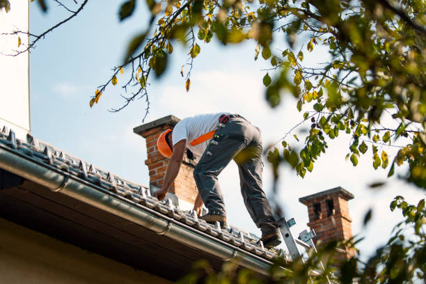 Best Roof Gutter Cleaning  in Dunwoody, GA