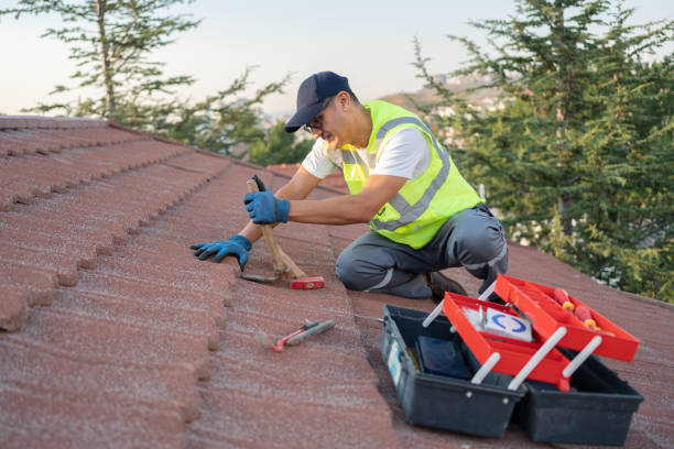 Best Gutter Installation and Roofing  in Dunwoody, GA